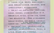 包含泰山传射建功，海港新星横空出世，场边球探频频记笔记的词条